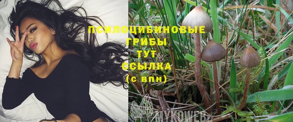кристаллы Абинск