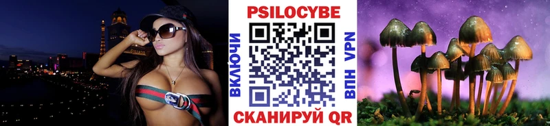 Галлюциногенные грибы Psilocybe  гидра как войти  Норильск 