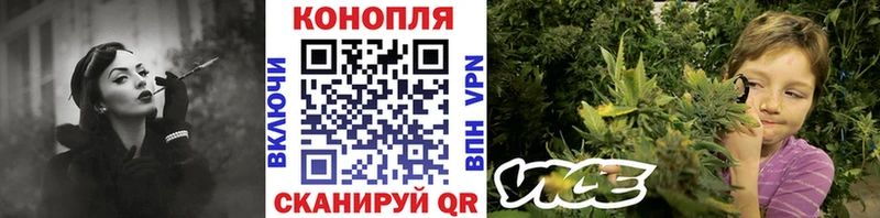 Конопля сатива  Норильск 